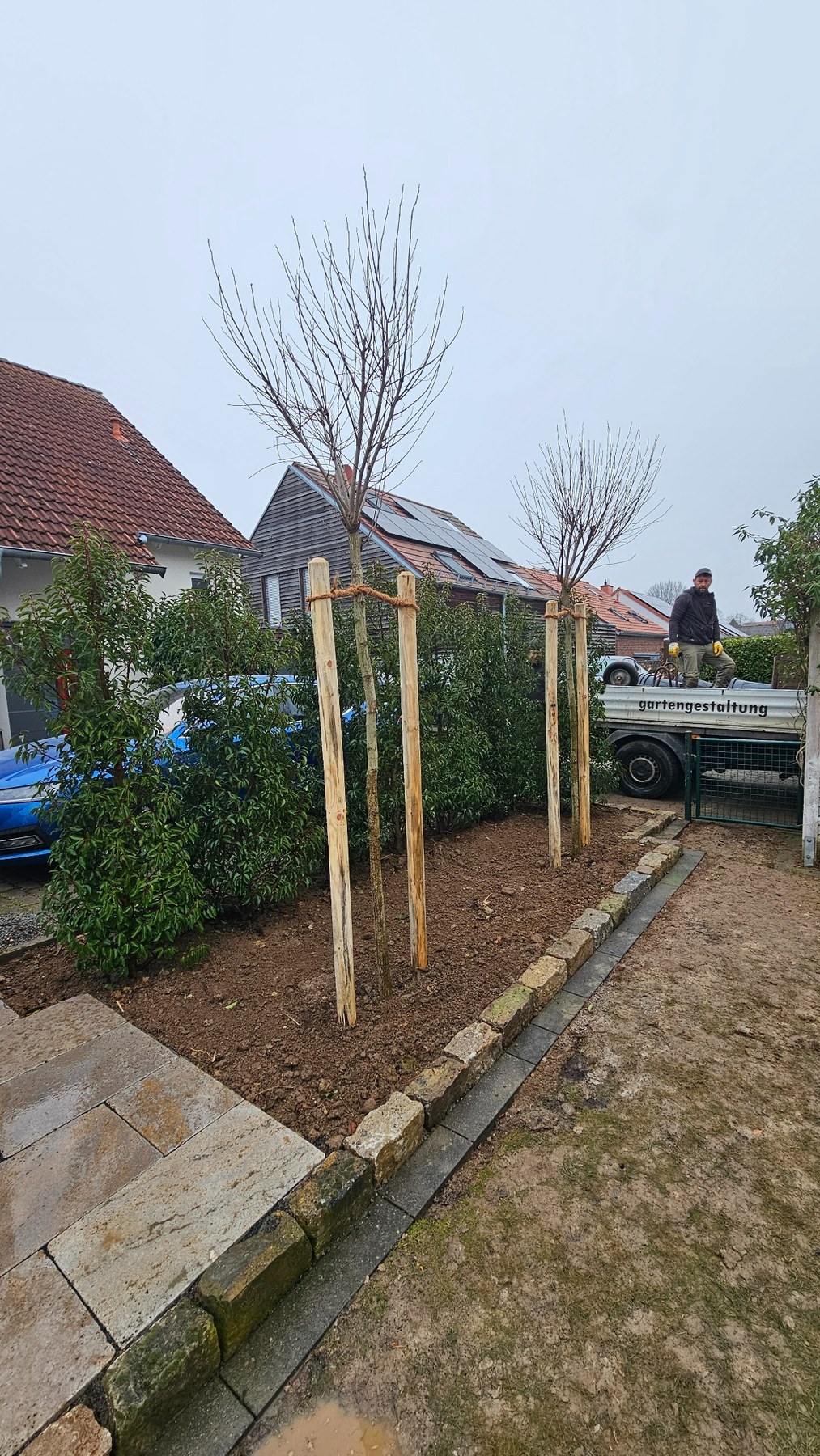 Gartengestaltung mit Baumpflanzung und Beetflächen in Mainz