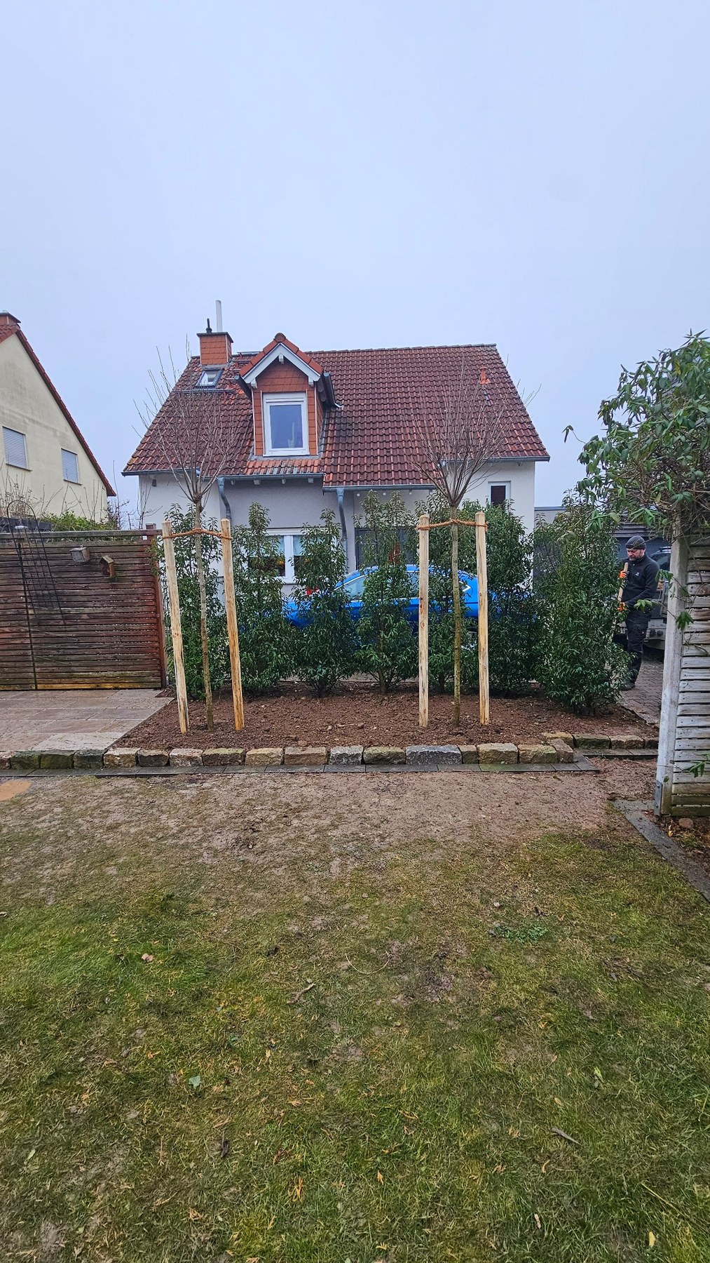 Fertiger Gartenbereich mit Baumpflanzung und Einfassung in Mainz