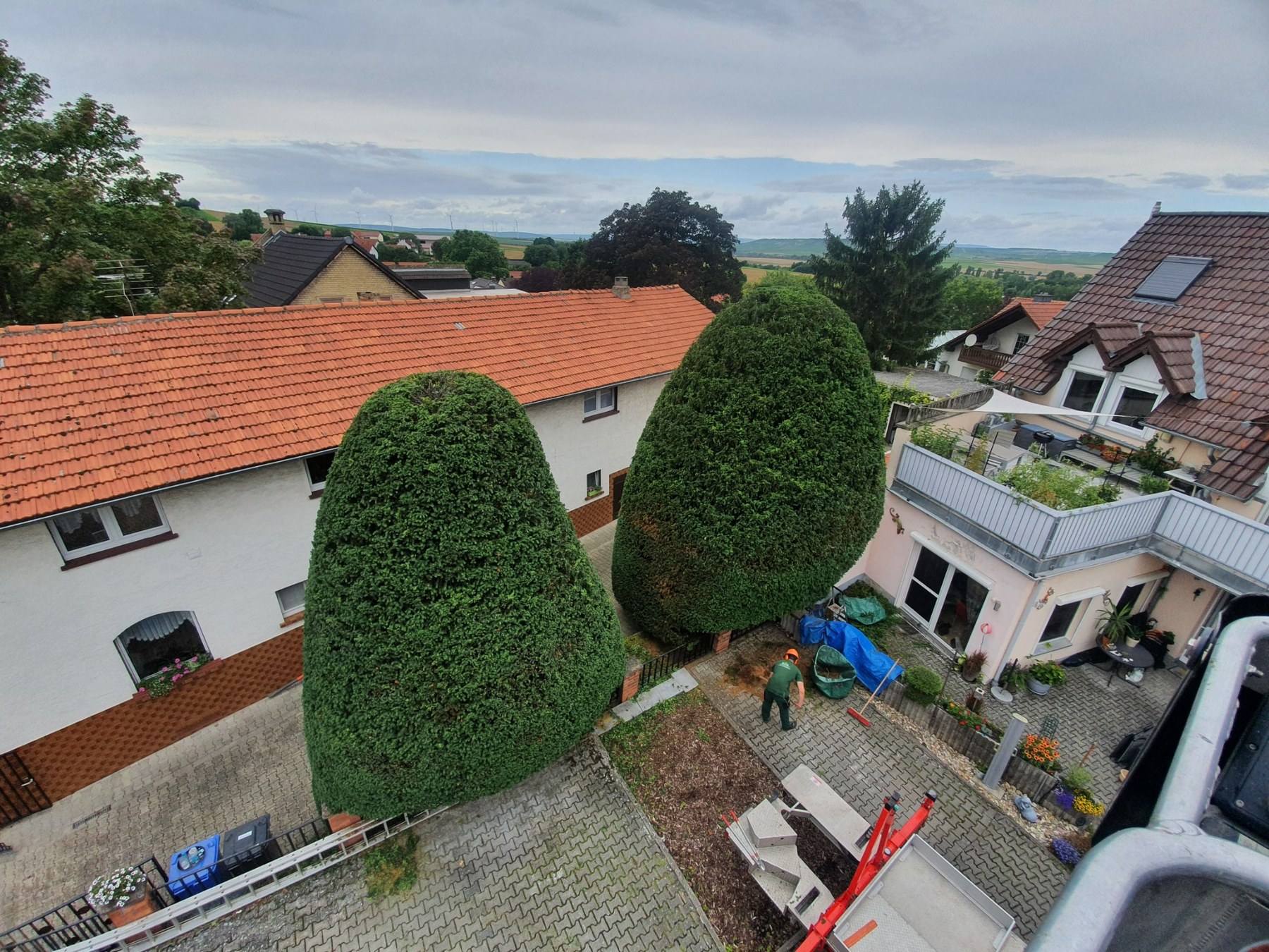 Formschnitt und Gartenpflege in Rommersheim